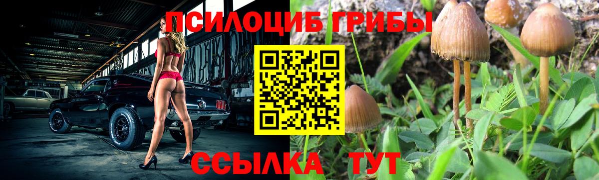 Галлюциногенные грибы MAGIC MUSHROOMS  Вход с VPN  Тосно 